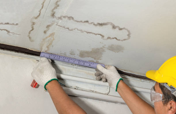Reliable Water Damage contractor in Friday Harbor, WA by Water Damage Irwin